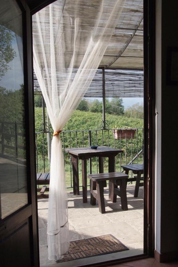 Il Pino Bioagricoltura Villa Terranuova Bracciolini Buitenkant foto