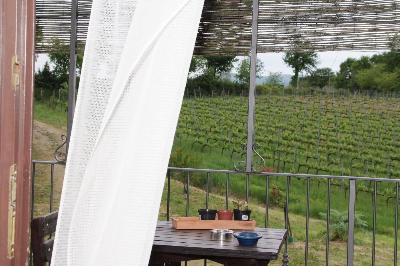 Il Pino Bioagricoltura Villa Terranuova Bracciolini Buitenkant foto